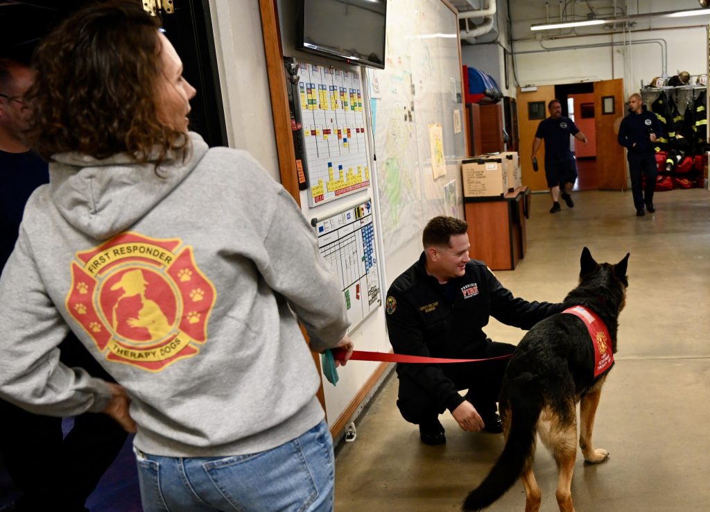 First Responder Therapy Dog King walking through a California fire station.