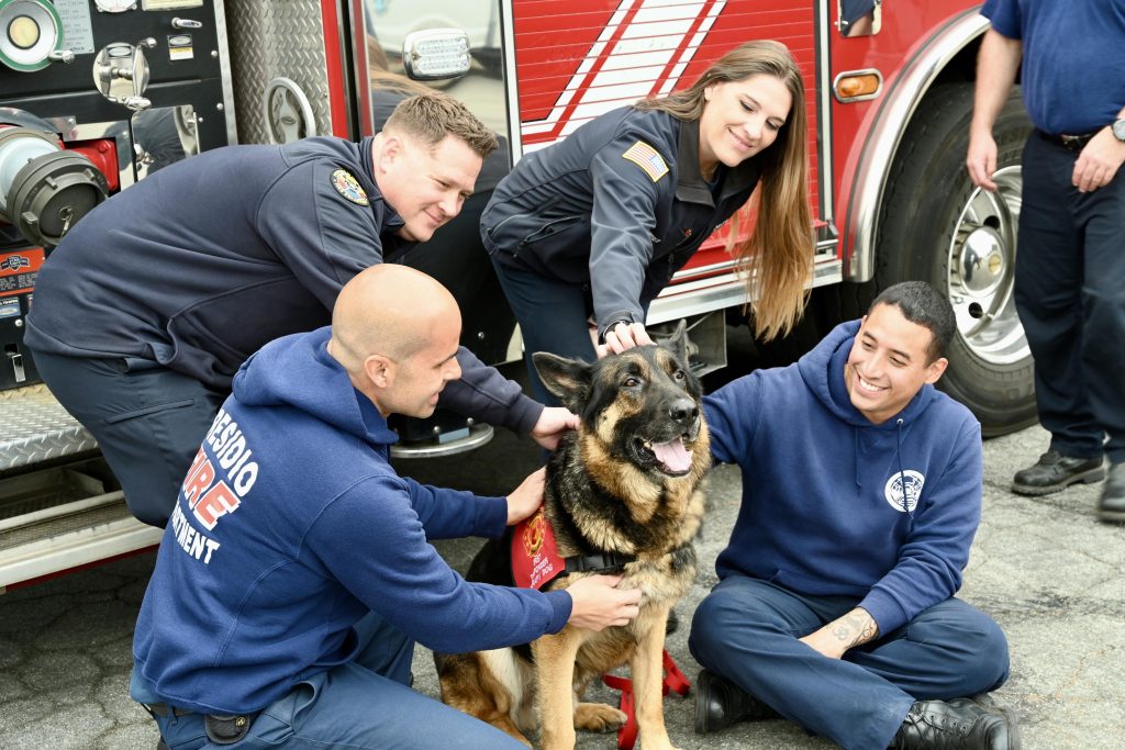 German shepherd therapy dog King visiting California firefighters at a fire station.