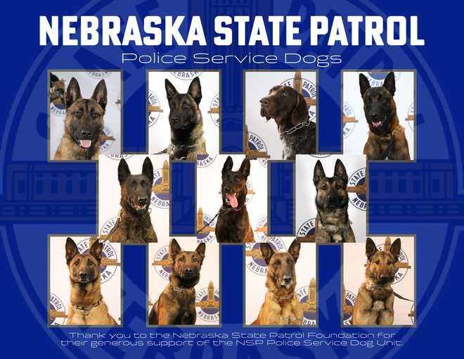 K-9 Tilt Calendar Image.