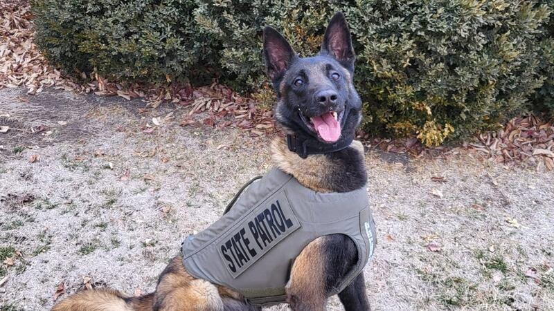 Nebraska State Patrol K-9 Tilt posing with handler Trooper Austin Donner.
