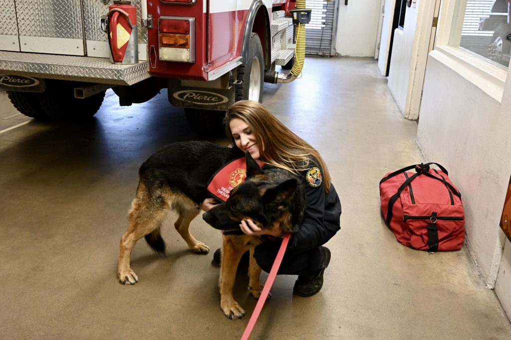 California firefighters petting a German shepherd therapy dog inside a fire station.